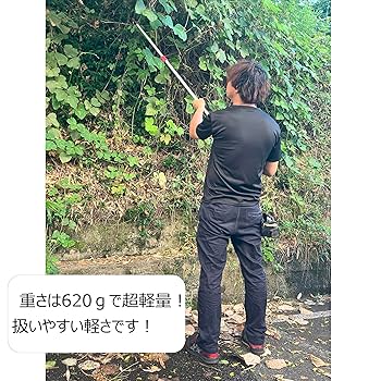 Amazon | DAISHIN ちょうどいい2m 超軽量620g 鋸刃付き 大進